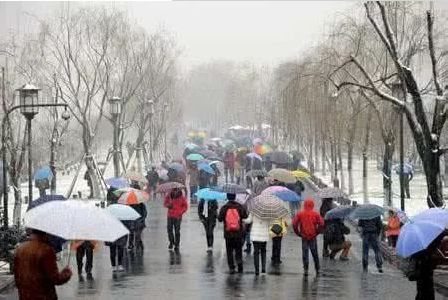 河南多地降雨迎春雪，木材粉碎機廠家忙不停